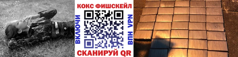KRAKEN ССЫЛКА  Гагарин  Кокаин Fish Scale 
