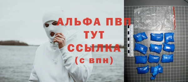 индика Абдулино