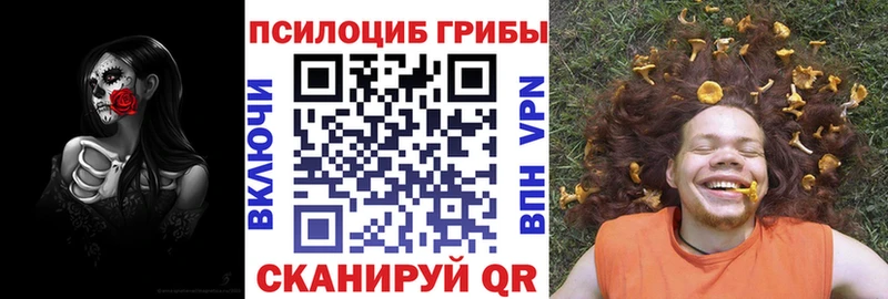 Псилоцибиновые грибы MAGIC MUSHROOMS  kraken маркетплейс  Гагарин 